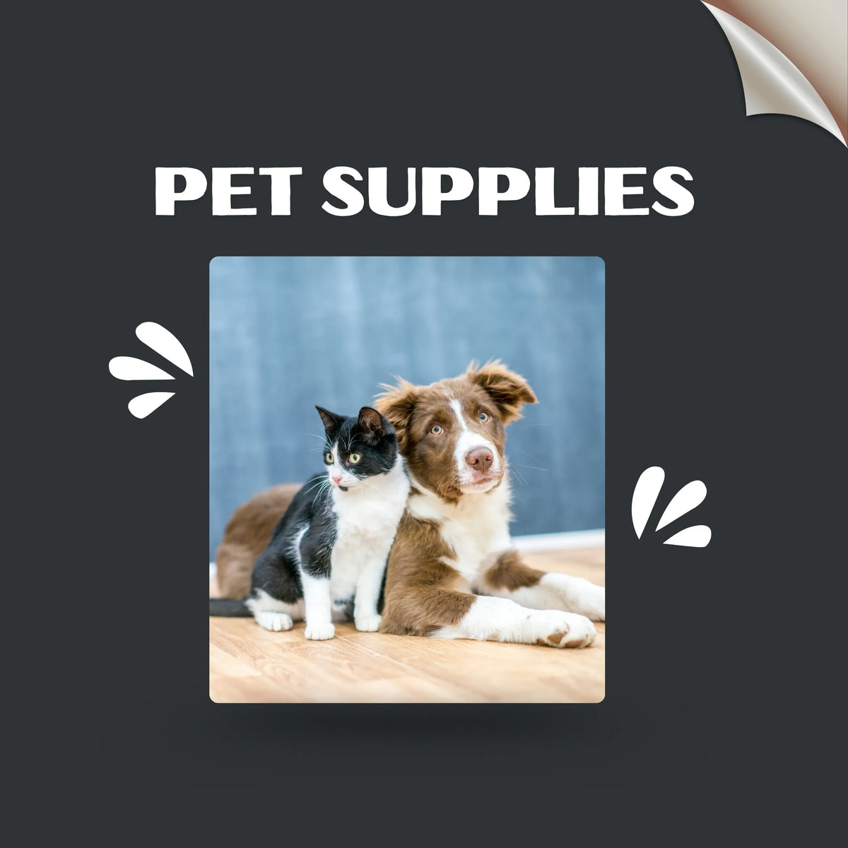 Pet Supplies