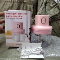 KolorFish Electric Mini Garlic Chopper 250ml Electric Vegetable Chopper