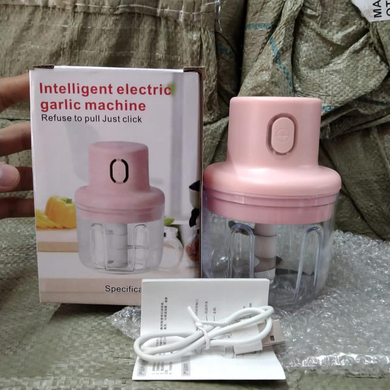 KolorFish Electric Mini Garlic Chopper 250ml Electric Vegetable Chopper